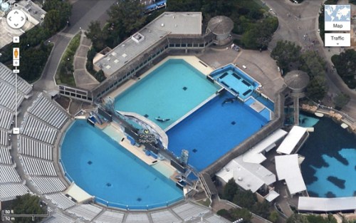 seaworldsd2