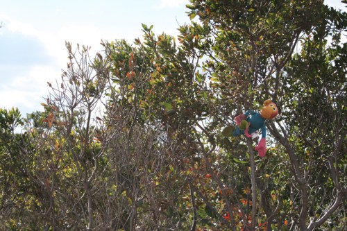 greatkillstreefriend