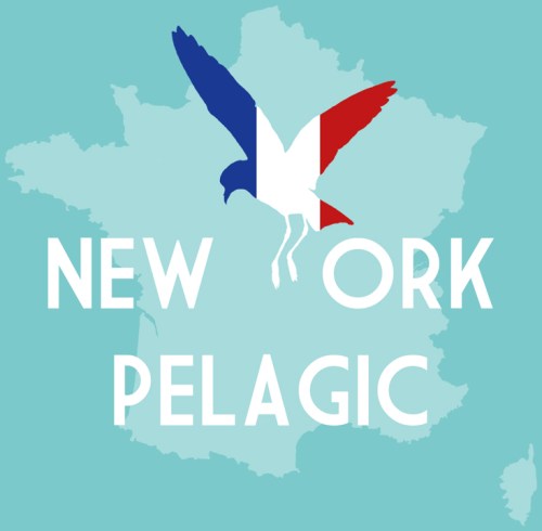 nypelagicFR